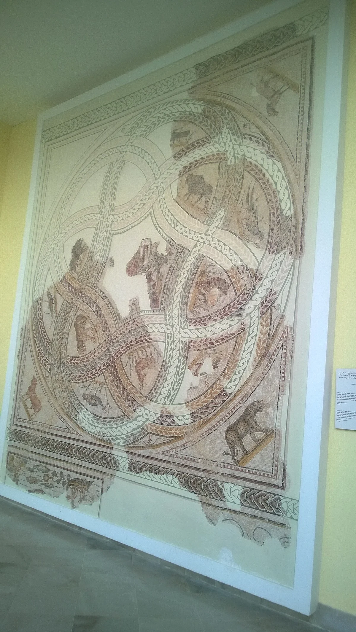 Mozaïek in het archeologisch museum van Sousse.