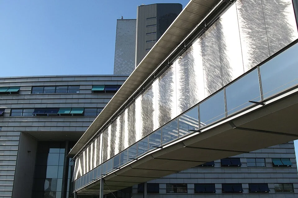 Naturalis in Leiden, Museumsgebäude