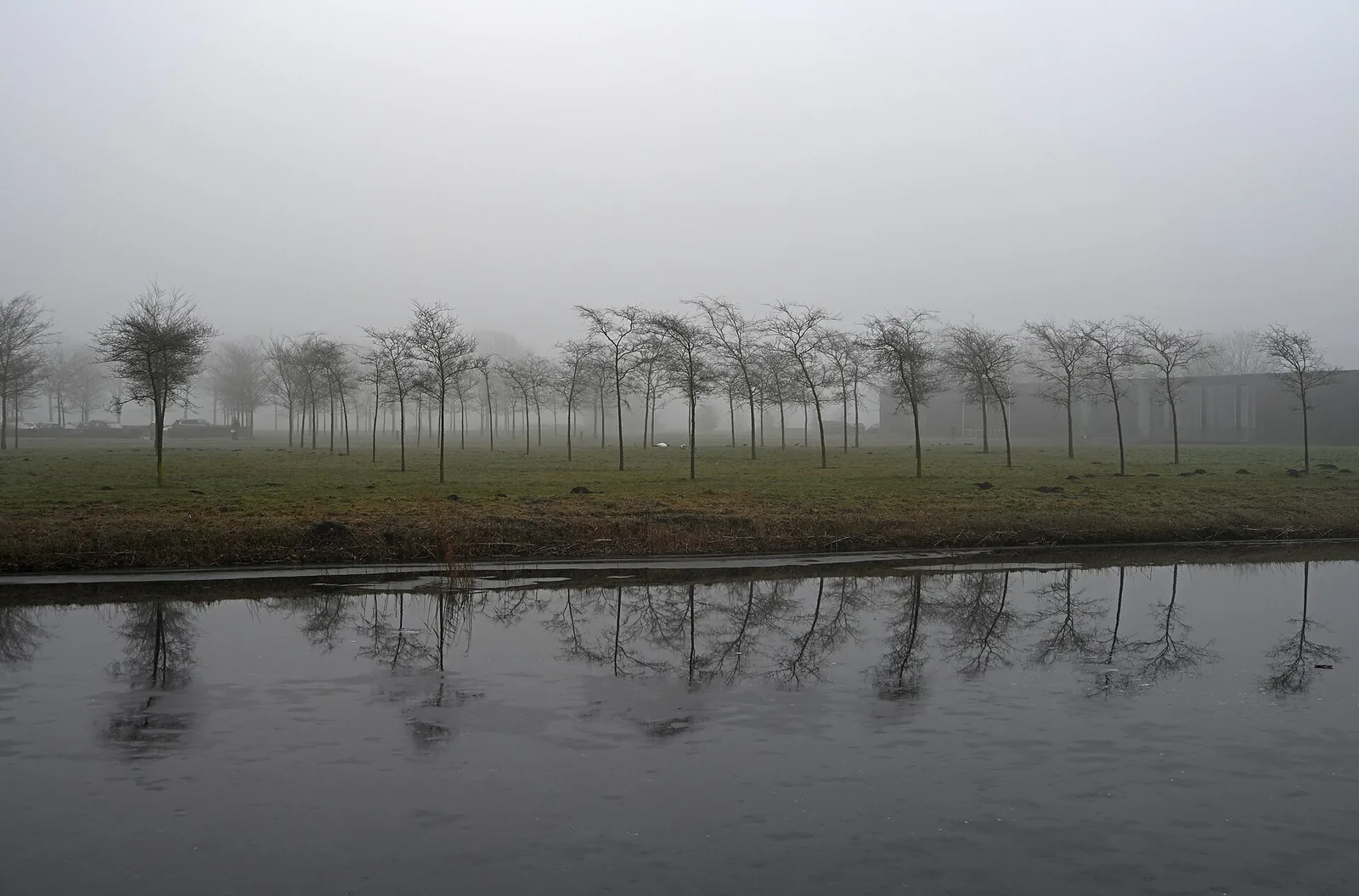 Trees and water in the misty museum park at Oranjewoud.